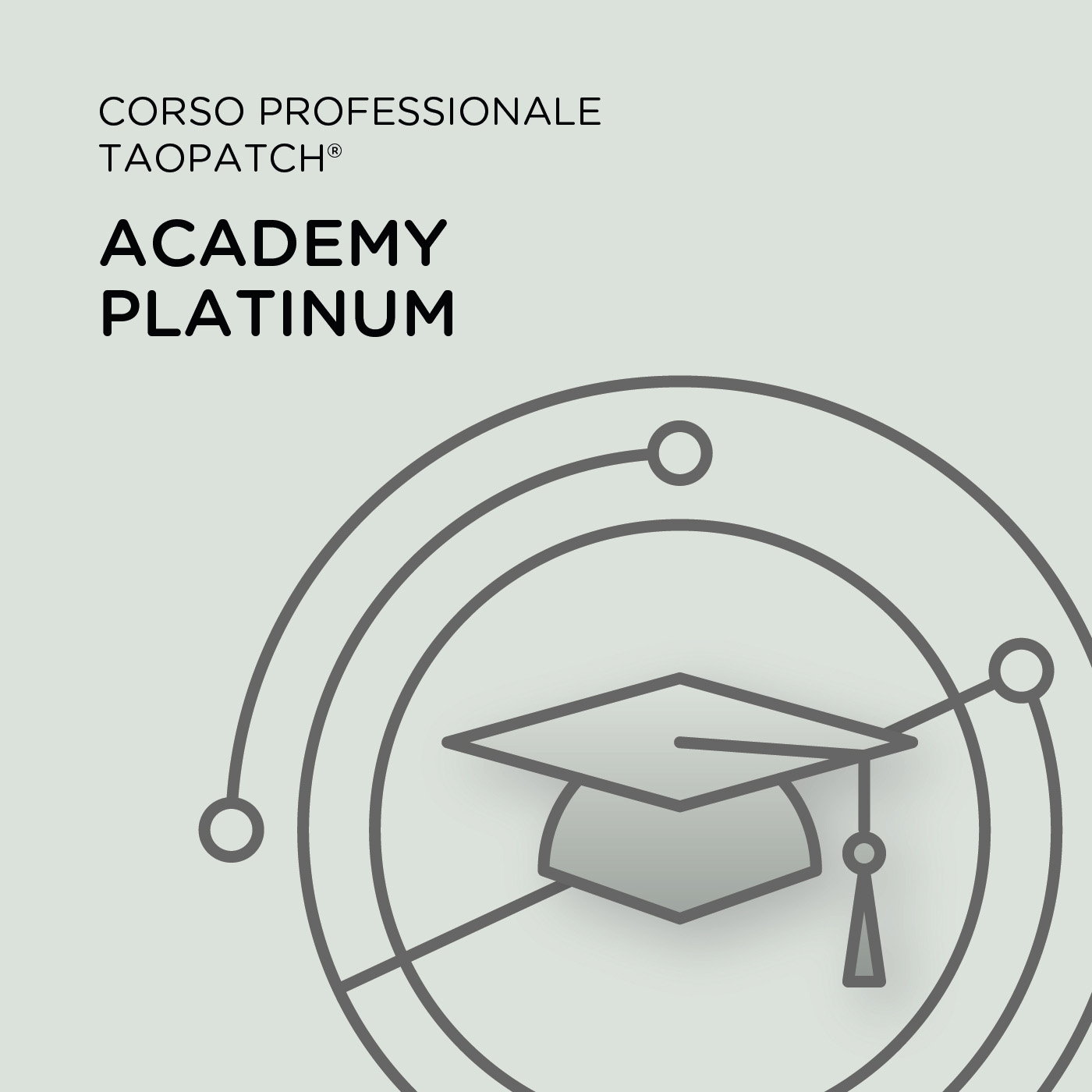 CORSO PROFESSIONALE TAOPATCH® - ACADEMY PLATINUM